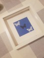 Butterfly Box Frame Blue